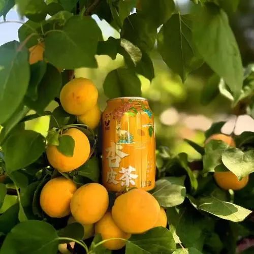 SIAL西雅國際食品展